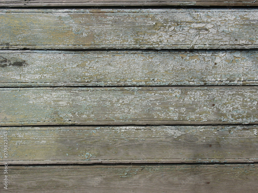 Wood board texture background with pale green dry peeling paint and cracks Wood board texture background with pale green dry peeling paint and cracks