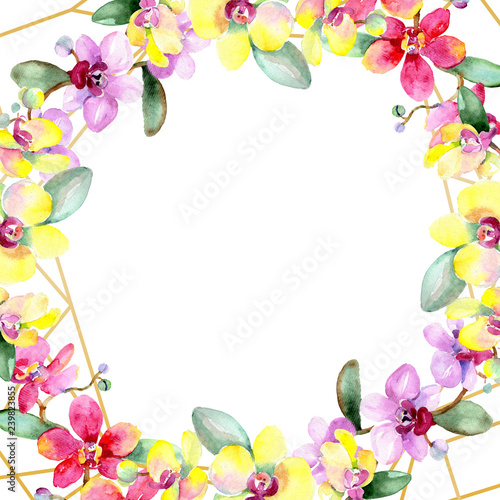 Wallpaper Mural Orchid Floral botanical flower. Watercolor spring leaf wildflower isolated. Frame border ornament square. Torontodigital.ca