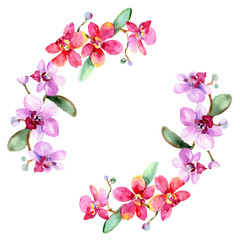 Orchid Floral botanical flower. Watercolor spring leaf wildflower isolated. Frame border ornament square.