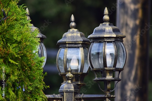 Beautiful street lights made of glass next to a pine tree.