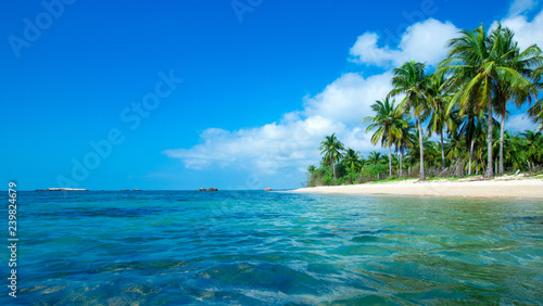tropical beach in Sri Lanka . Summer holiday and vacation concept for tourism. © Pakhnyushchyy