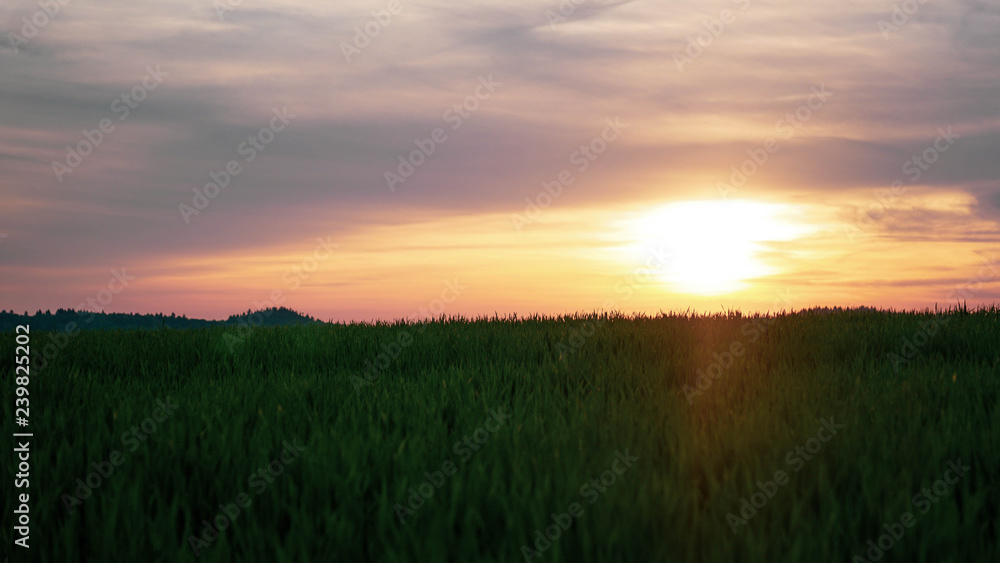 Sunset Sunset