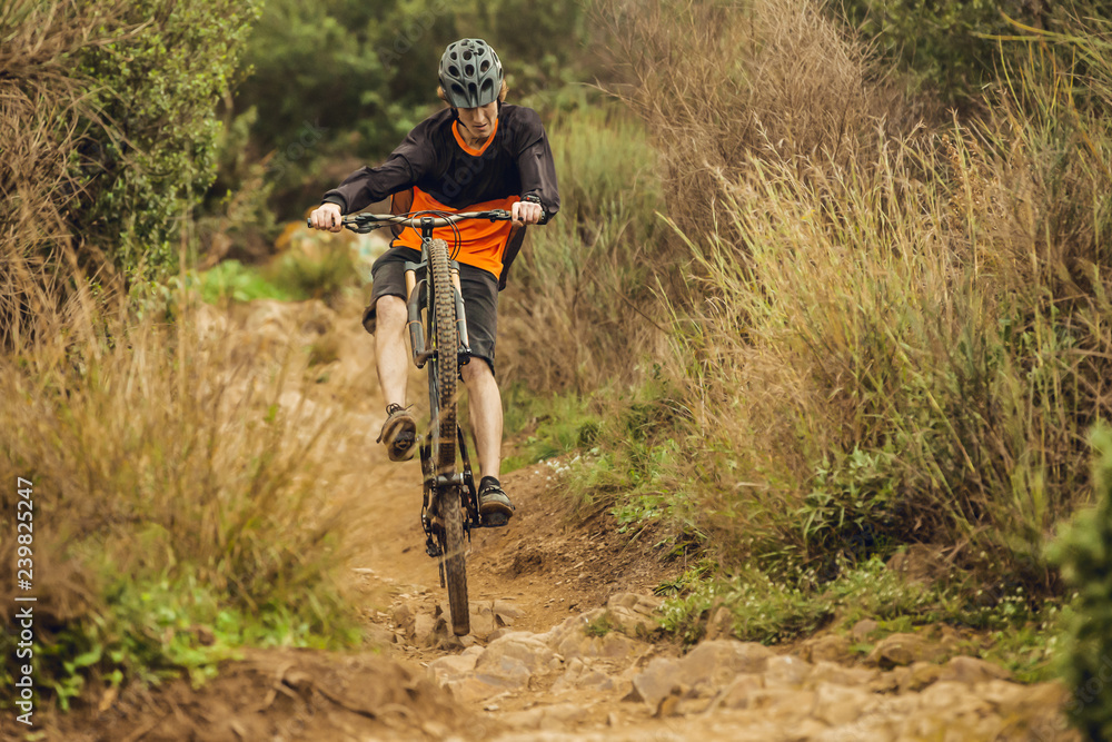 Fototapeta premium Mountain bike rider going down mountain trail