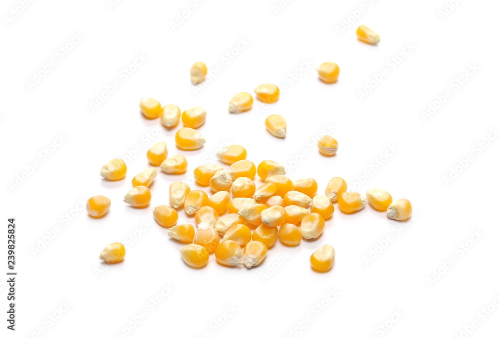 Corn kernels isolated on white background Corn kernels isolated on white background