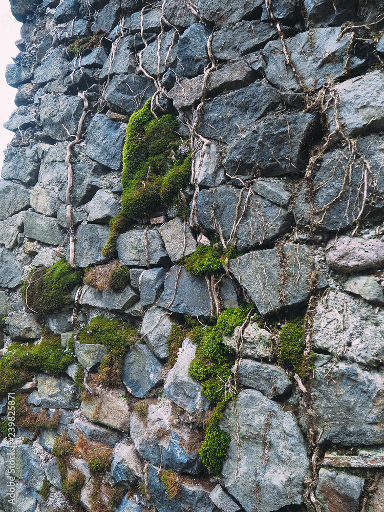 stone wall. brickwork texture. back background .beton stone wall. brickwork texture. back background .beton