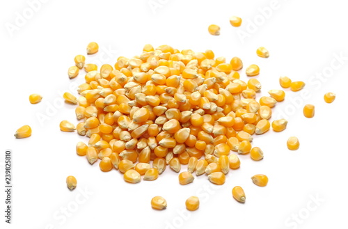Corn kernels isolated on white background