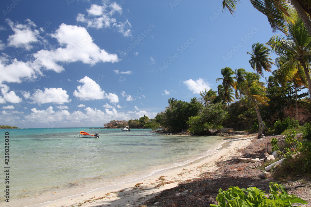 Martinique, plage du Marigot au Diamant foto de Stock | Adobe Stock