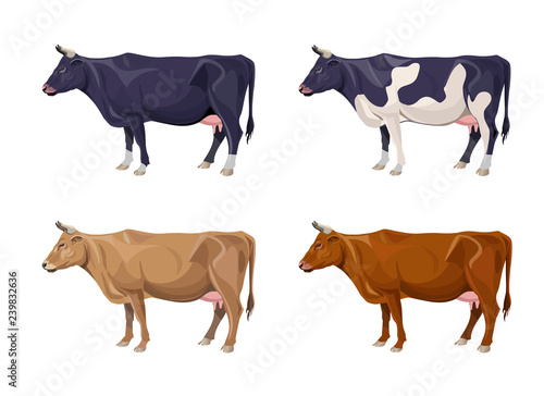 Different cows colors set