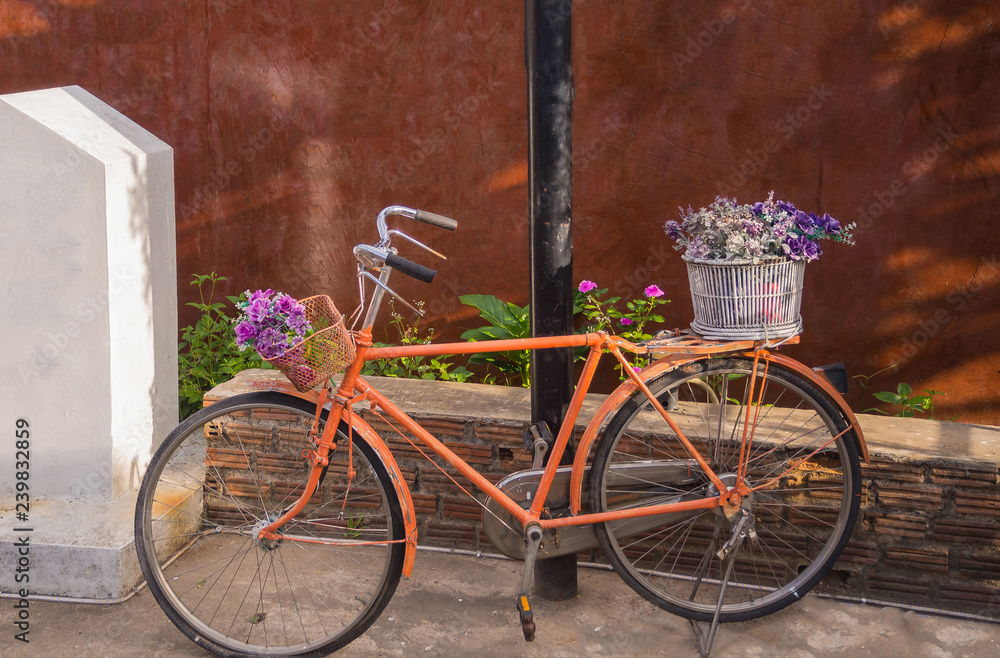 Orange bicycle