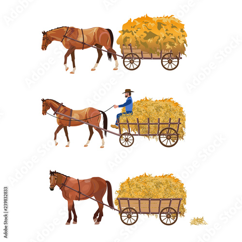 Horse-drawn cart with hay