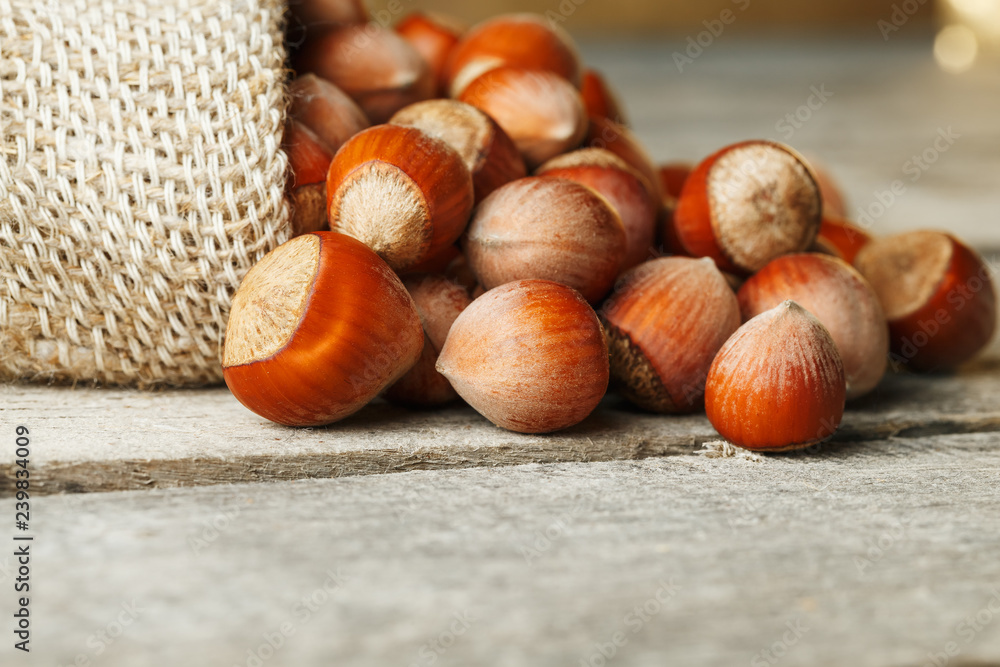 Hazelnuts in a cover, poured out from a bag from burlap on a gray wooden table
