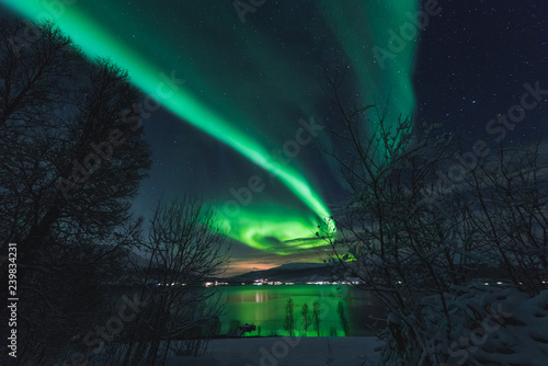 Fototapeta Naklejka Na Ścianę i Meble -  The polar arctic Northern lights aurora borealis sky star in Scandinavia Norway Tromso in the farm winter forest  snow mountains 
