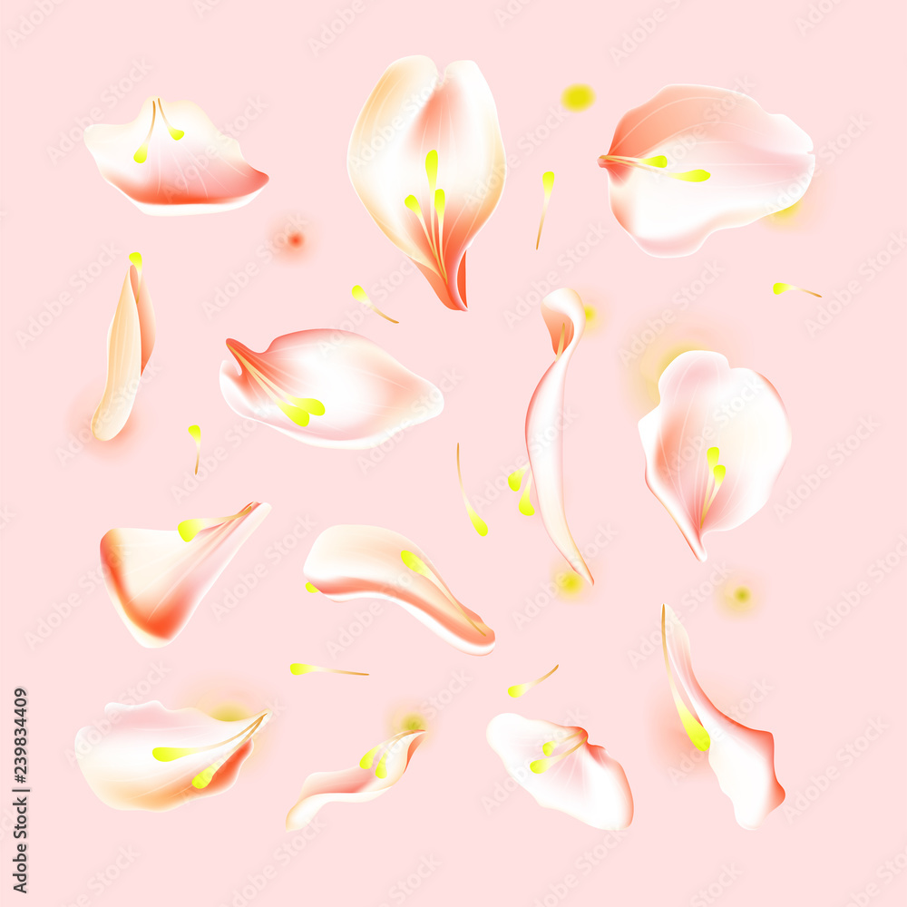 Vector set of pink falling rose and sakura petals. Blurred spring blossom petal set with decorative elements, stamen. Sakura petal set, blossom rose petals objects, petal element set with blured Vector set of pink falling rose and sakura petals. Blurred spring blossom petal set with decorative elements, stamen. Sakura petal set, blossom rose petals objects, petal element set with blured