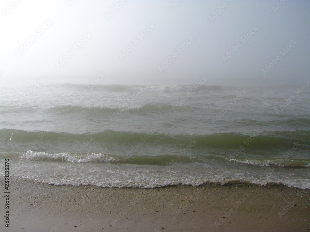 sea waves in the fog, shore, deserted beach