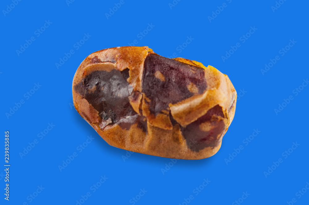 Whole brown dried date fruit in center on blue background Whole brown dried date fruit in center on blue background