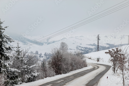 Road through forest with trees covered with snow