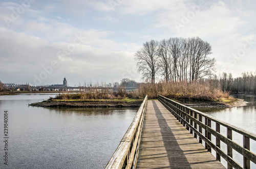 Standing on a wooden pedestrian bridge in the Ossenwaard nature reserve near Deventer, the Netherlands with the city's skyline in the distance © Frans