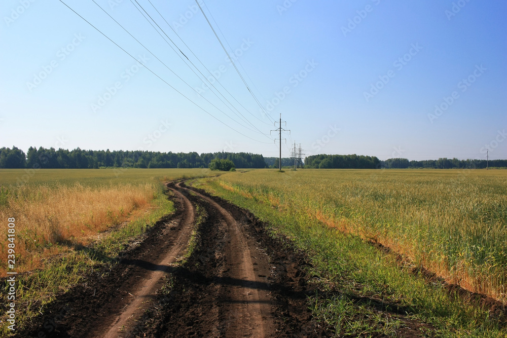 Dirt country road in the field