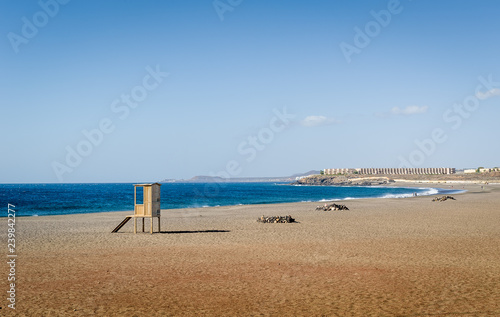 Fototapeta Naklejka Na Ścianę i Meble -  Playa de Tejita sand beach at Tenerife island
