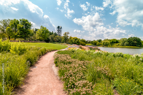 Summer landscape of Chicago Botanic Garden, Glencoe, Illinois, USA photo