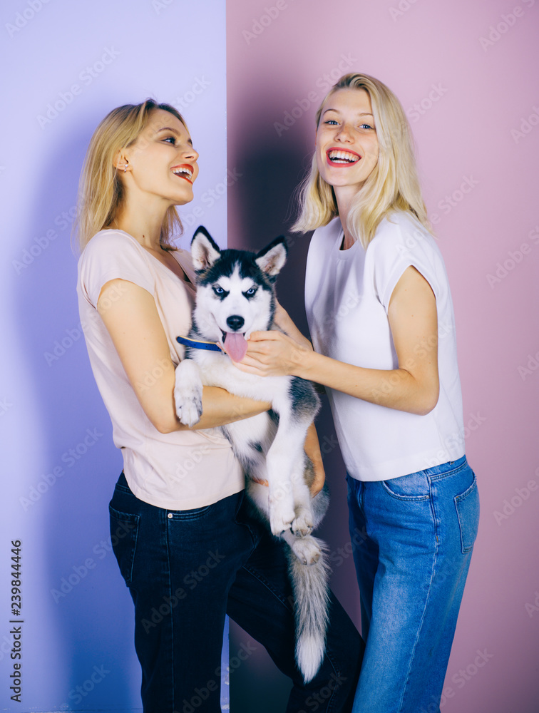 Paw prints forever on our hearts. Happy girls with sensual look. Pretty women hold pedigree dog. Sexy women with dog pet. Husky dog with blue eyes and wolf like look. Happy sisters with family pet