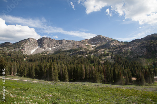Albion Basin, Wasatch Mountains, Utah