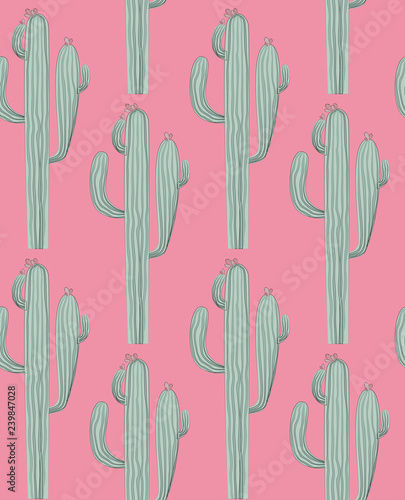 Seamless pattern with cactus and succulent in sketch style. Editable vector illustration
