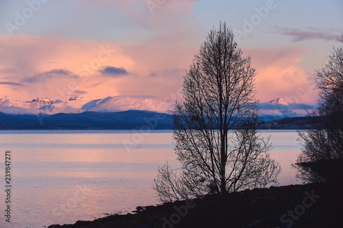Beautiful orange sunset sunset landscape with pink clouds in a fjord reflection in Norway near the city of Tromso with hoarfrost on the rocks near the ocean © bublik_polina