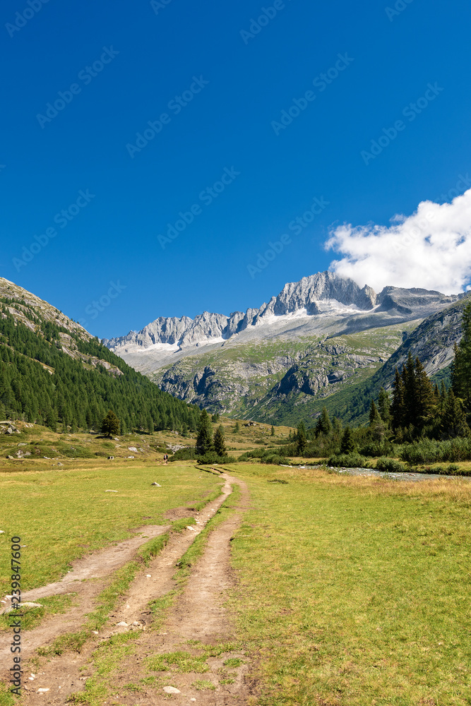 Peak of Care Alto - National Park of Adamello Brenta Italy Peak of Care Alto - National Park of Adamello Brenta Italy