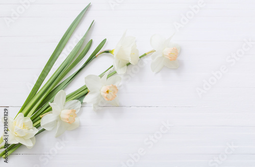 white narcissus on white wooden background