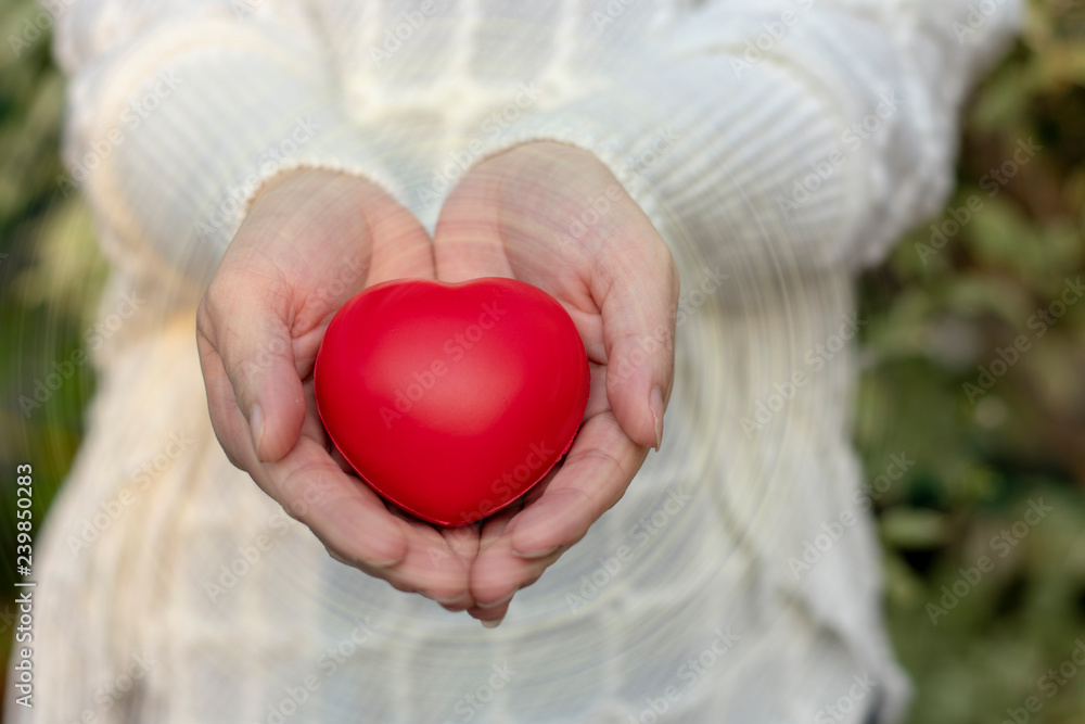 young woman holds red heart in hands with radius flare around , valentine concept, love and care concept young woman holds red heart in hands with radius flare around , valentine concept, love and care concept