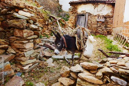 Donkey carring many heavy items in highland wilage
