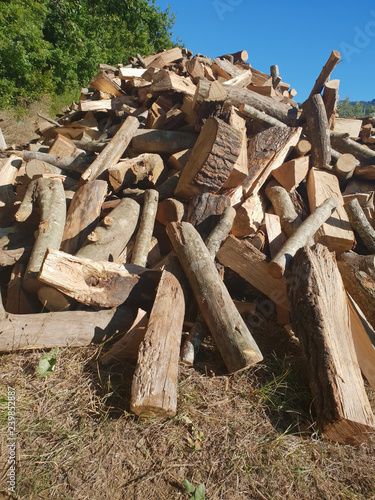 Heap of firewood