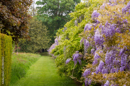 Beautiful garden  at Knole