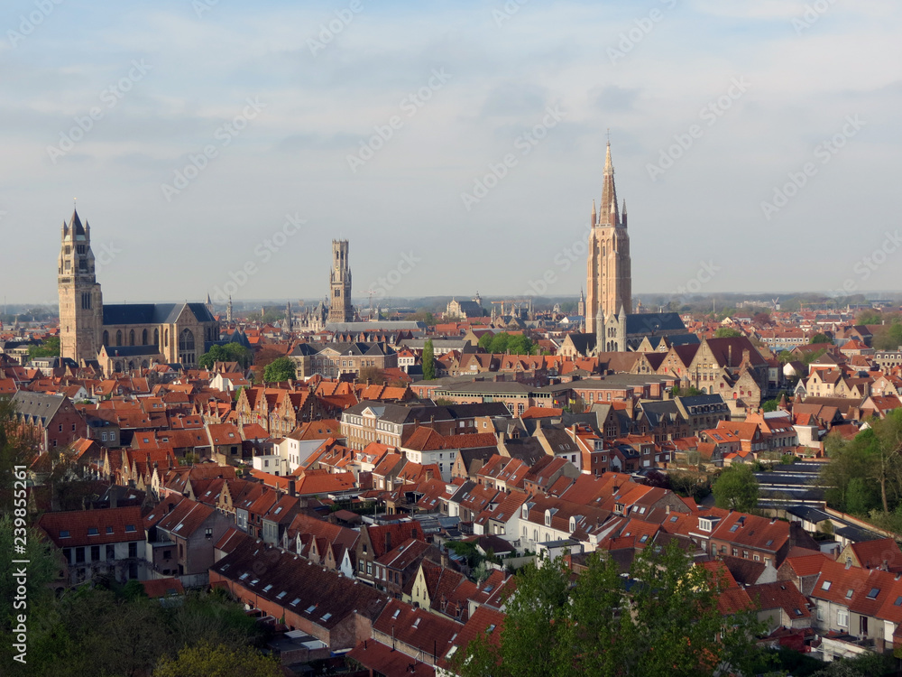 Europe, Belgium, West Flanders, Bruges, view of the historic center from a great height