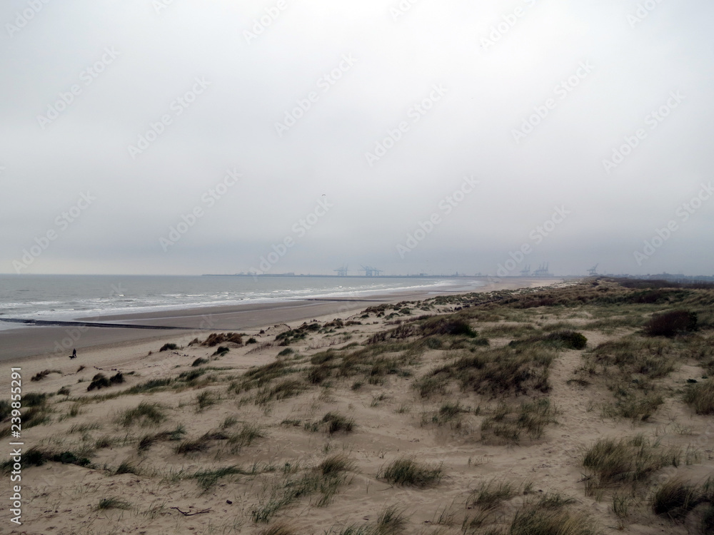 Europe, Belgium, West Flanders, the North Sea coast near the city of Blankenberge Europe, Belgium, West Flanders, the North Sea coast near the city of Blankenberge