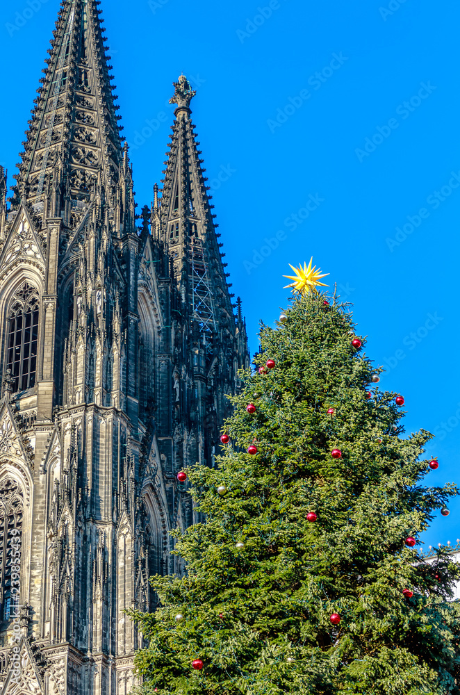 Riesiger Weihnachtsbaum am Kölner Dom