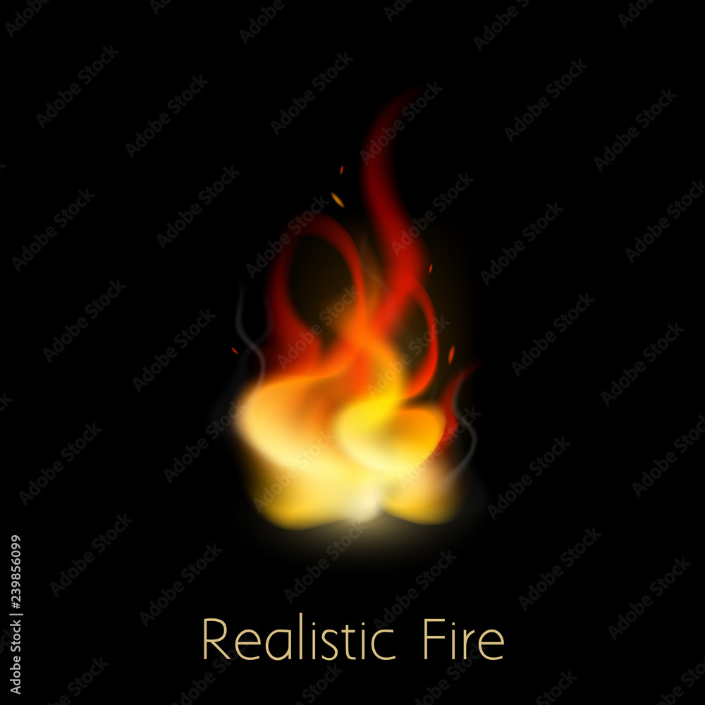 illustration of Realistic Burning Fire Flame on black background