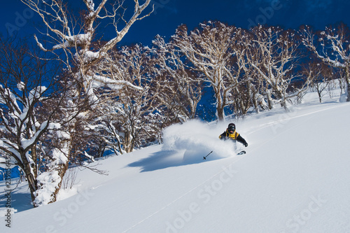 Extreme pro skier shredding the deep powder snow in the sunny Japanese mountains