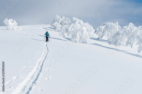 Bild auf Leinwand Unrecognizable female tourist trekking on her skis up the snowy hill in Niseko