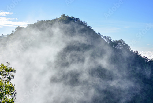 Lingering fluffy mist in highland valley of northern Thailand. 