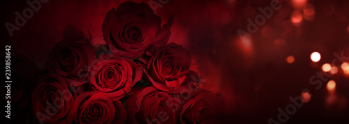 Red roses background