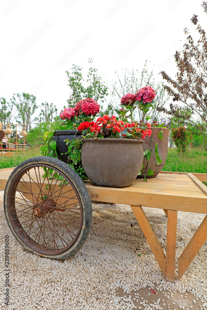 flowerpot on the cart