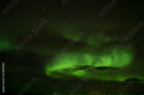 Fototapeta Naklejka Na Ścianę i Meble -  Polar light at the Lofoten - Norway