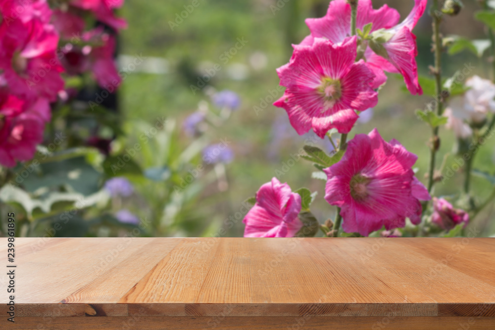 Empty desk with Hollyhocks blooming in garden Empty desk with Hollyhocks blooming in garden