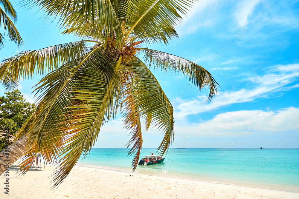 Fototapeta premium nosy iranja beach and boat