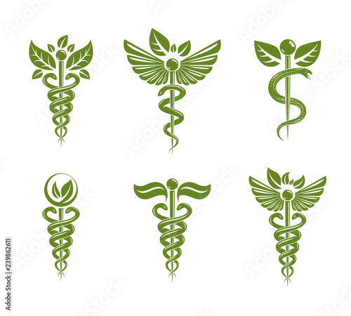 Collection of Caduceus illustrations composed with poisonous snakes and bird wings, healthcare conceptual vector symbols. Alternative medicine theme.