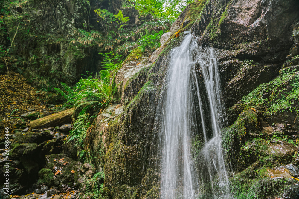 Naklejka premium Waterfall in the forest in the valley of mountains . Mountain stream with clear water . Deciduous old-growth forest.
