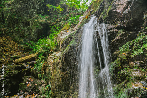 Waterfall in the forest in the valley of mountains . Mountain stream with clear water . Deciduous old-growth forest.