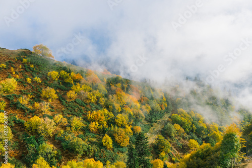 Autumn forest in the mountains. Colorful flora covers the slopes of the mountains. Clouds float over the colorful forest
